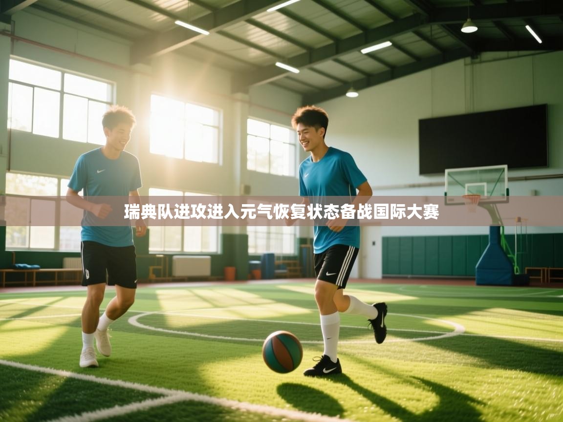 瑞典队进攻进入元气恢复状态备战国际大赛