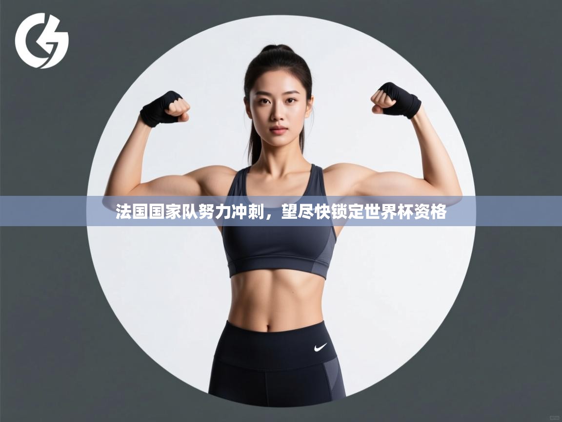 法国国家队努力冲刺,望尽快锁定世界杯资格 第2张