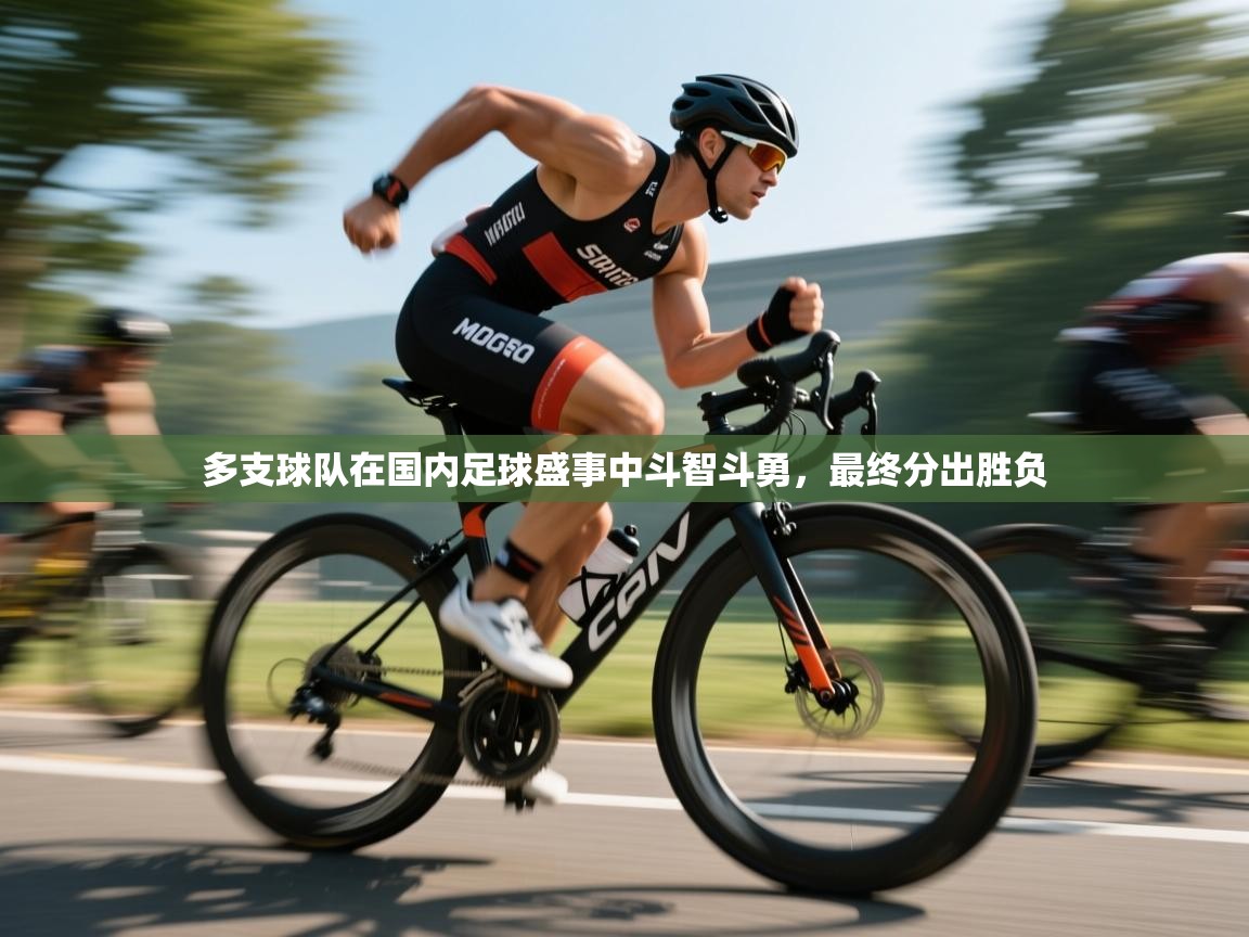 多支球队在国内足球盛事中斗智斗勇,最终分出胜负 第2张